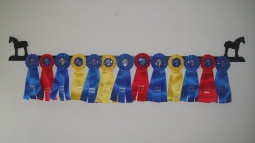 Showoff Black 14ga Steel Award Rack - Horse, Wall Mount or Stall Mount, USA Made