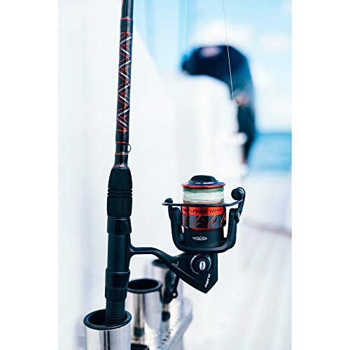 Penn Fierce III Spinning Inshore Fishing Reel, Size 2000, Right/Left Handle Position, 5 Bearings for Smooth Operation - size: 3000 - Plastic Clam, style: Fierce III