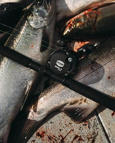 PENN Rival Level Wind Conventional Fishing Reel - size: 20 - Line Counter - Left Hand, style: New Model