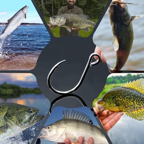 Natufish Inline Single Hooks 25Pcs for Treble Hook Replacement | Fishing Inline Hooks High Carbon Steel Large Eye Sharp Point Corrosion Resistant 8#-5/0# for Hard Lures Saltwater Freshwater - size: 3/0_25pcs