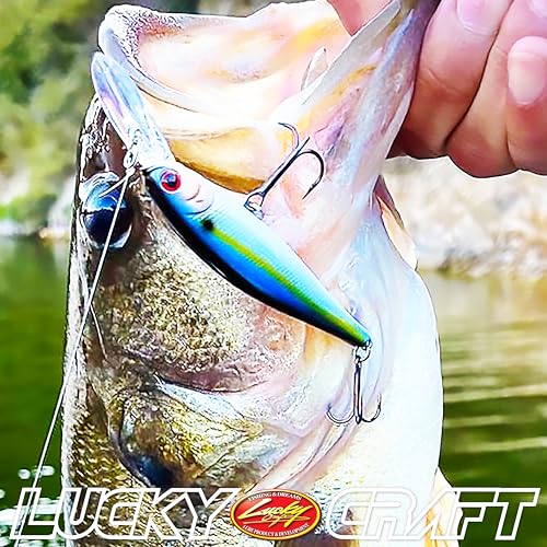 LUCKY CRAFT Pointer 78DD Freshwater Fishing Lure and Gear for Bass & Trout, 3 inch Deep Diving Suspending Jerkbait Fishing Line, Pressure-Ready Fish Bait, Premium Gear for Tackle Box, - color: 254 MS MJ Herring - Aurora Wakasagi
