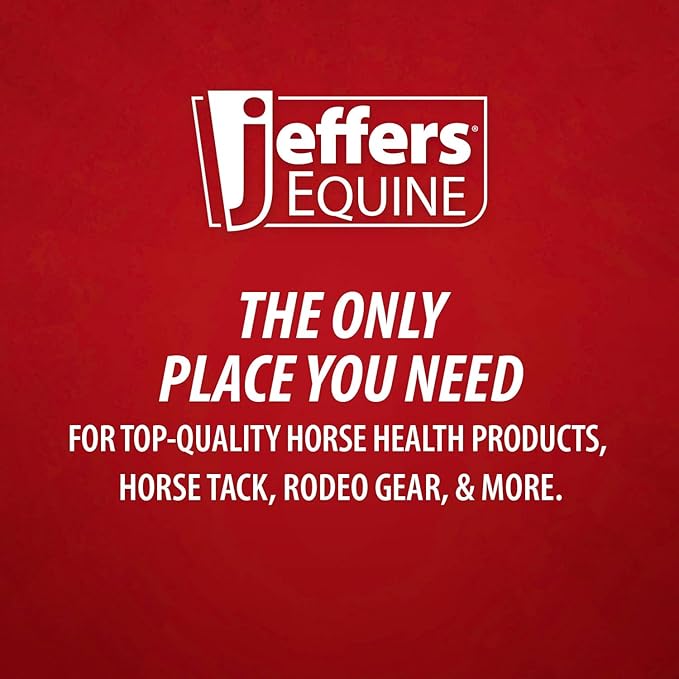 Jeffers Equine Protective Horse Boots 1 Pair Black - Safe Neoprene Leg Guards & Comfortable Fit, Durable Strap Closures, Front & Hind Support, Equestrian Accessories for Travel & Riding - Large