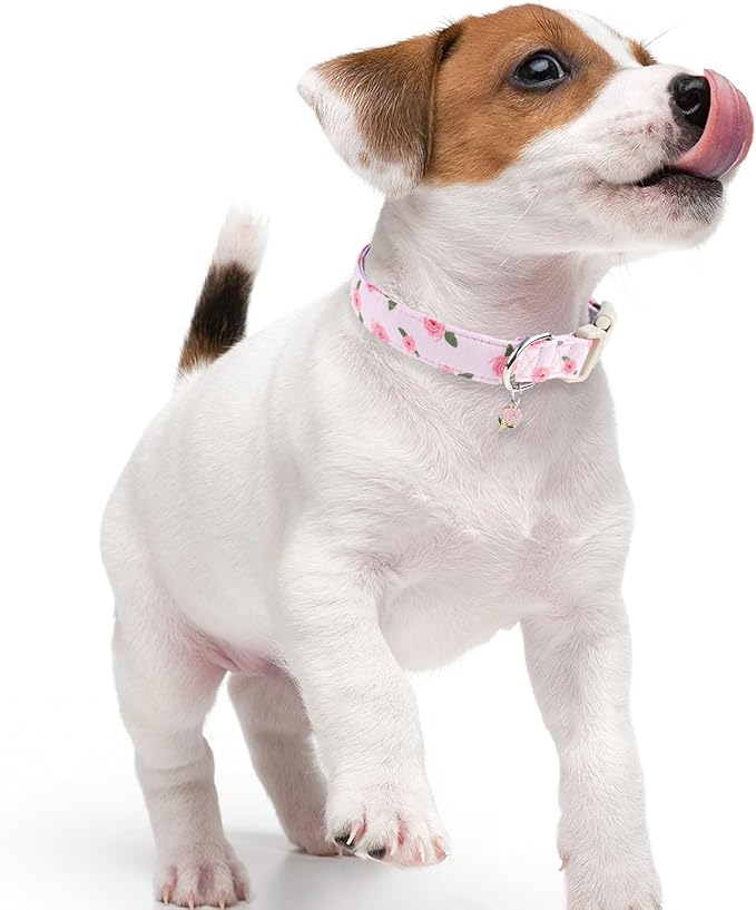 Faygarsle Pink Floral Dog Collar with Roses Pattern, Spring Summer Design for Small Medium Large Dogs L