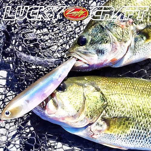 LUCKY CRAFT Sammy 98, Freshwater Lake Bass Fishing Lure, Topwater, Floating, Perfect Walking The Dog, Fishing Gear, Fishing Accessories, Fishing Tackle - color: 238 Ghost Minnow