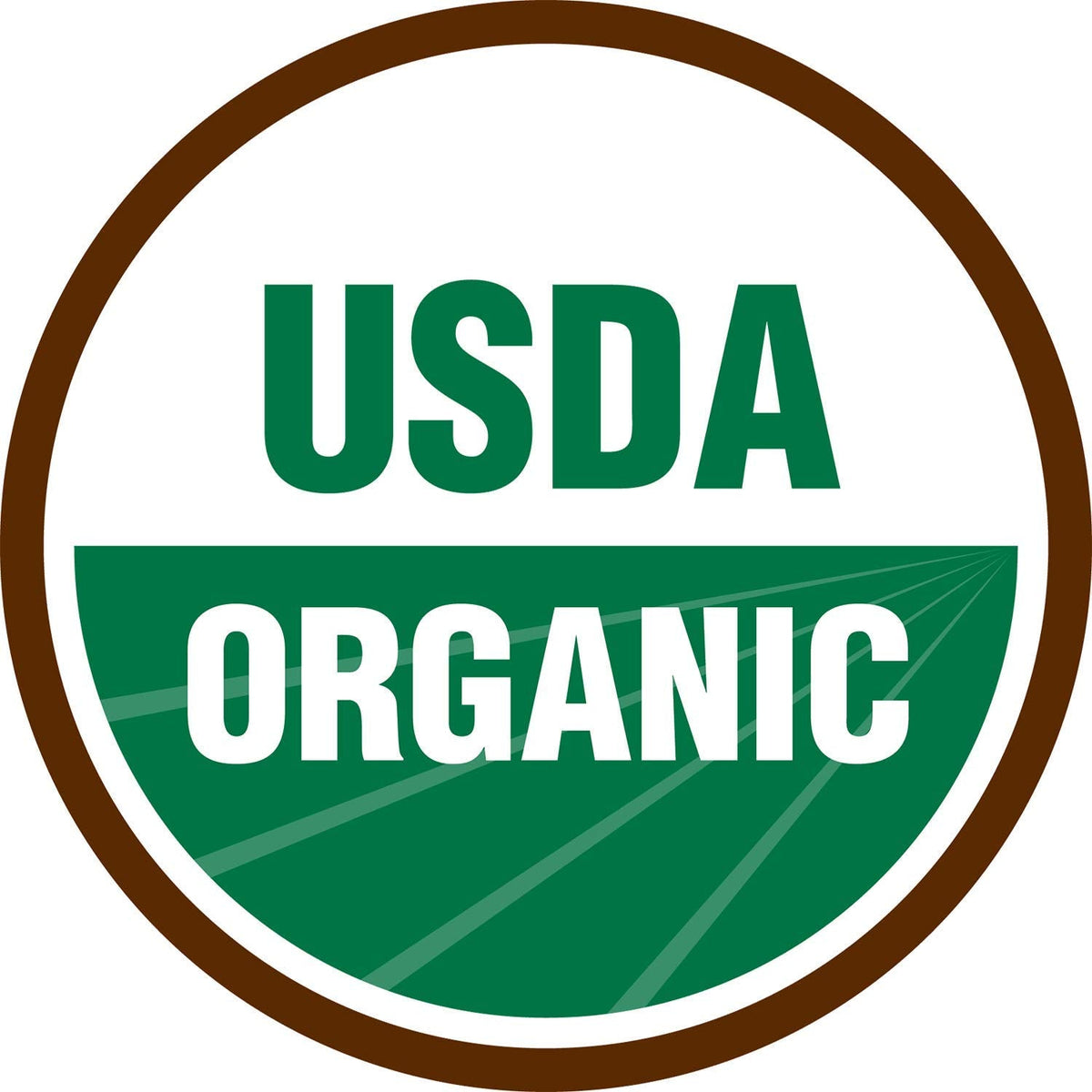 Terrasoul Superfoods Organic Raisins, 2 Lbs - Seedless | No-Sugar Added | No Preservatives