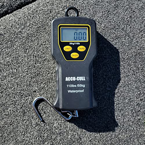 Waterproof Scale