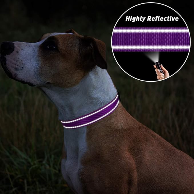TagME Reflective Nylon Dog Collars, Adjustable Classic Pet Collar with Quick Release Buckle for Medium Dogs, Purple, 1.0" Width