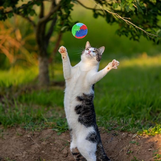 Nicunom 60 PCS Cat Pom Pom Balls, 1.7Inch Rainbow Cat Toy Balls, Soft Plush Cat Ball Fuzzy Kitty Balls Colorful Kitten Puff Balls Cat Chase Ball for Kitten Pet Interactive Playing Exercising