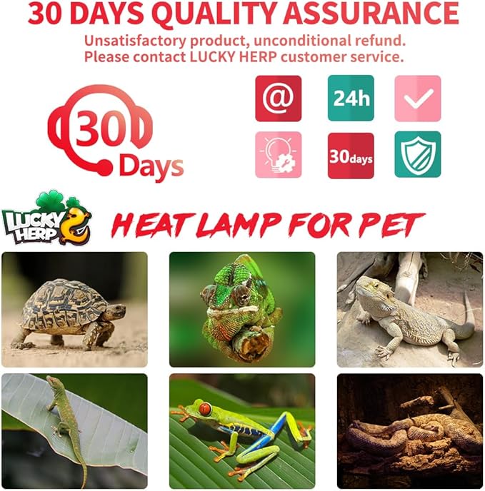 LUCKY HERP Infrared Heat Lamp 75W 2 Packļ¼Reptile & Amphibian Basking Spot Light Bulbs, Red Heat Lamp Bulbs for Reptiles, Bearded Dragon, Turtle, Lizard, Snake, Chicken