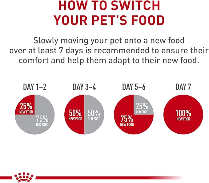 Royal Canin Feline Health Nutrition Kitten Thin Slices in Gravy Canned Cat Food, 3 oz can (6-pack)