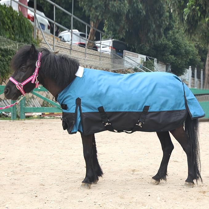 Mini Horse/Pony/Foal/Miniature Size 36"-51" Lightweight Waterproof & Breathable 1200 Denier Turnout Blanket with No Filling Peacockblue 51"