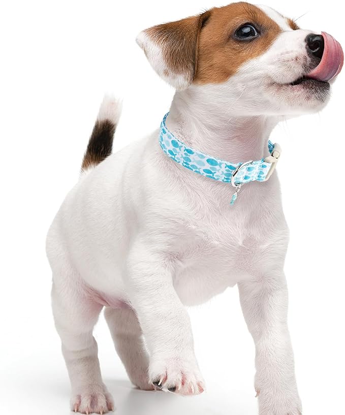 Faygarsle Fish Pattern Dog Collar, Adjustable with Buckle, Blue and White, Summer Design for Small Medium Large Dogs S