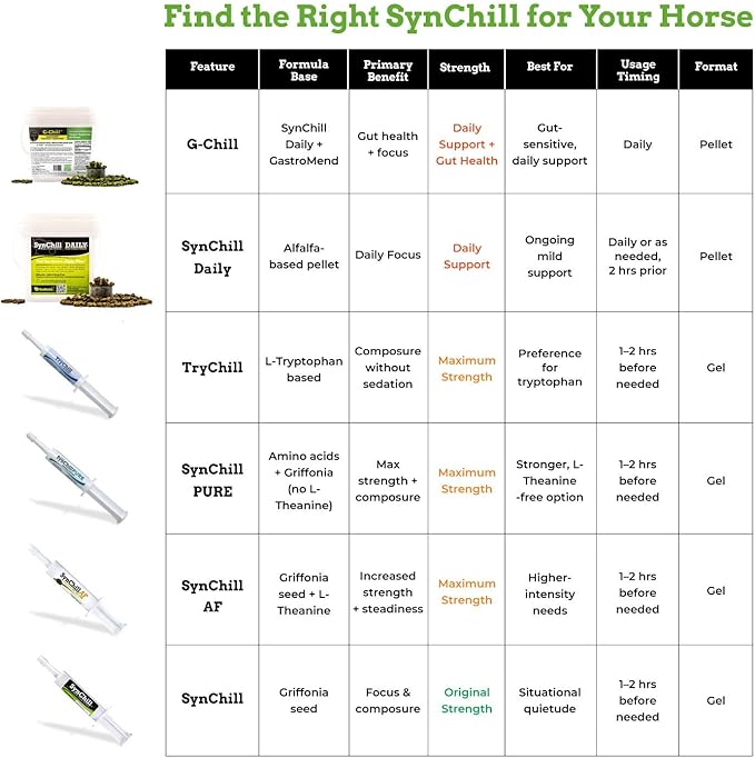 SynChill AF Calming Gel for Nervous Horses - Single Serving - Advanced Formula with L-Theanine, Increased Potency, 100% Natural Supplement, Disposition & Confidence Support for Horses - 3 Pack