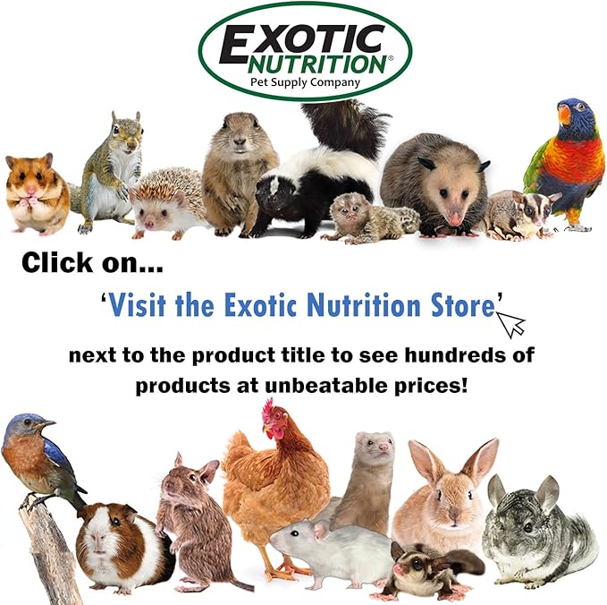 Exotic Nutrition Economy Carry Bonding Pouch (Grey) - for Sugar Gliders, Squirrels, Marmosets, Hamsters, Rodents, Rats, Reptiles, & Other Small Pets…