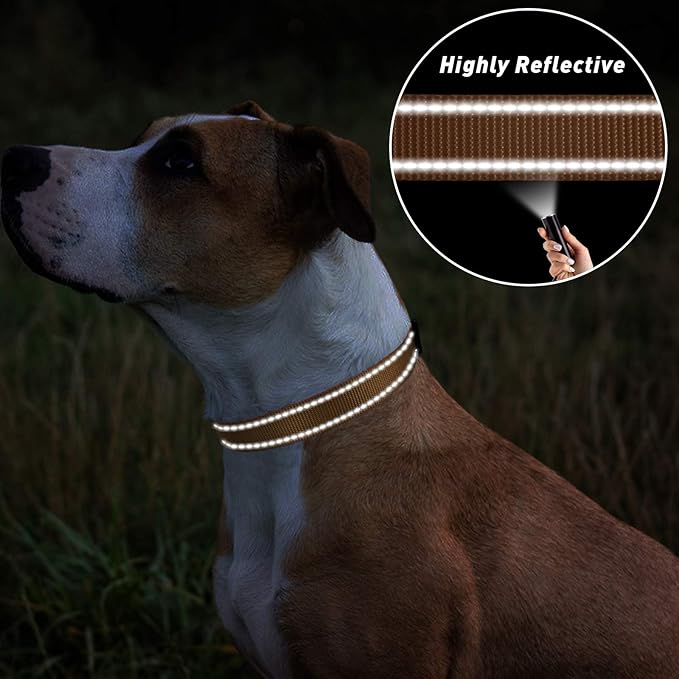 TagME Reflective Nylon Dog Collars, Adjustable Classic Collar with Quick Release Buckle for Small Dogs, Khaki, 3/4" Width