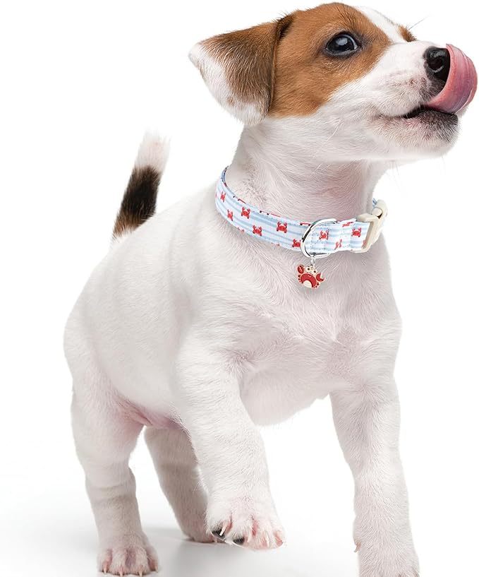 Faygarsle Cute Crab Pattern Dog Collar, Cotton Fabric, Light Blue Stripes, for Small Medium Large Dogs XS