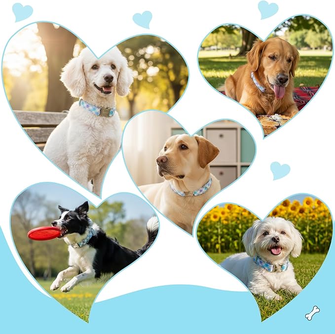 Cotton Collar for Dog,Soft Adjustable Dog Collars for Large Dogs, Cute Dog Collar with Blue & White Plaid for Small Medium Large Dogs, Perfect for Girl or Boy Dog Collars-L