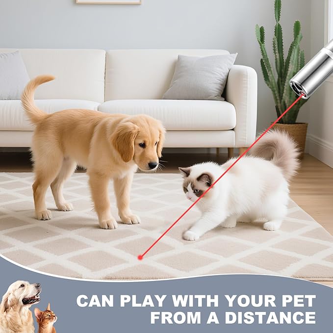 Laser Pointer, Cat Toys, Cat Laser Toy Pointer with 5 Adjustable Patterns, Dog Laser Toy, USB Recharge Laser, Long Range and 3 Modes Training Chaser Interactive Toy