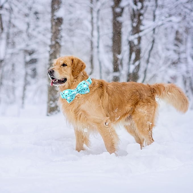 Dog Collar-Bow Dog Collar Blue Bear Pattern Pet Collar Dog Cute Bow Tie Soft Girl Boy Dog Collars with Metal Buckle Wonderful Gift for X-Small Puppy