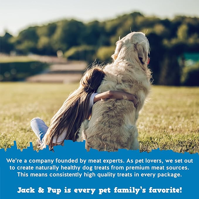 Jack&Pup 12 Inch Bully Sticks for Large Dogs | Thick Odor Free Bully Sticks (3 Pack) Long Lasting Bully Sticks for Dogs