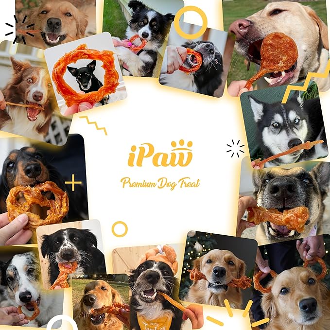iPaw Turkey Tendons for Dogs, Turkey Sourced from USA, Hypoallergenic, All Natural Human Grade Puppy Chew, Dog Treats for Signature Series, Rawhide Alternative, Box of 10 Packs