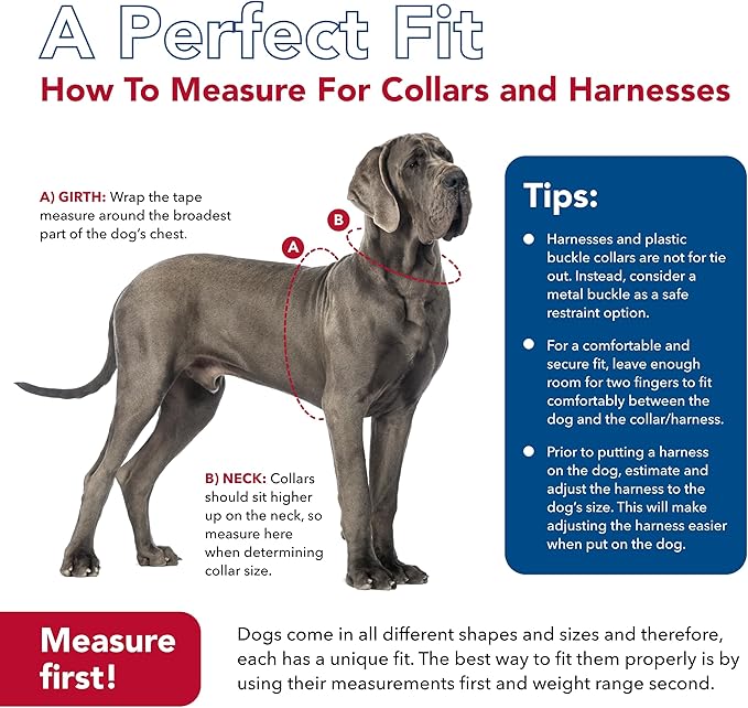 Coastal Pet SecureAway Collar Protector for Flea Collars - Adjustable pet Accessory - Protective Flea Collar for Dogs & Puppy - Red, 5/8" x 8-12"