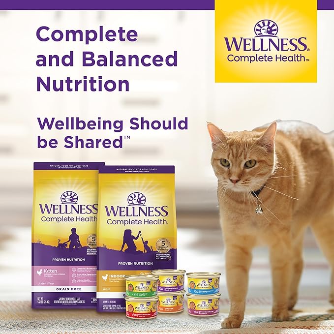 Wellness Complete Health Gravy Adult Wet Cat Food, Natural, Protein-Rich, Grain Free, 3 Ounce, 12 Pack, (Chicken & Tuna Dinner)