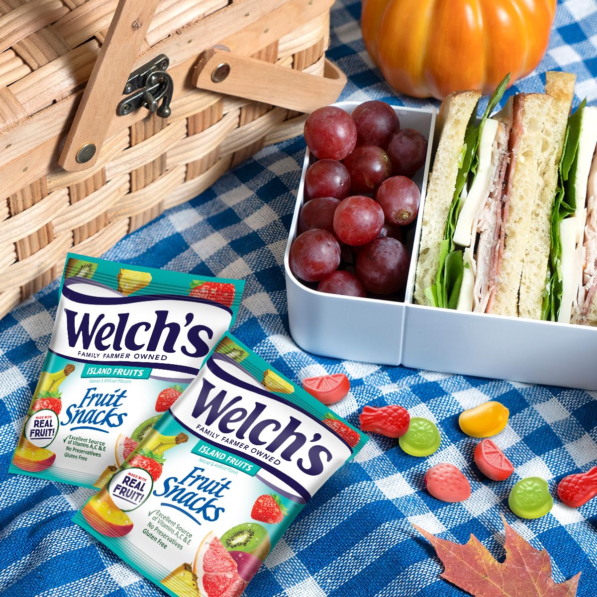 Welch's Fruit Snacks, Fruit Punch & Island Fruits, Individual Single Serve 0.8 oz bags (Pack of 40)