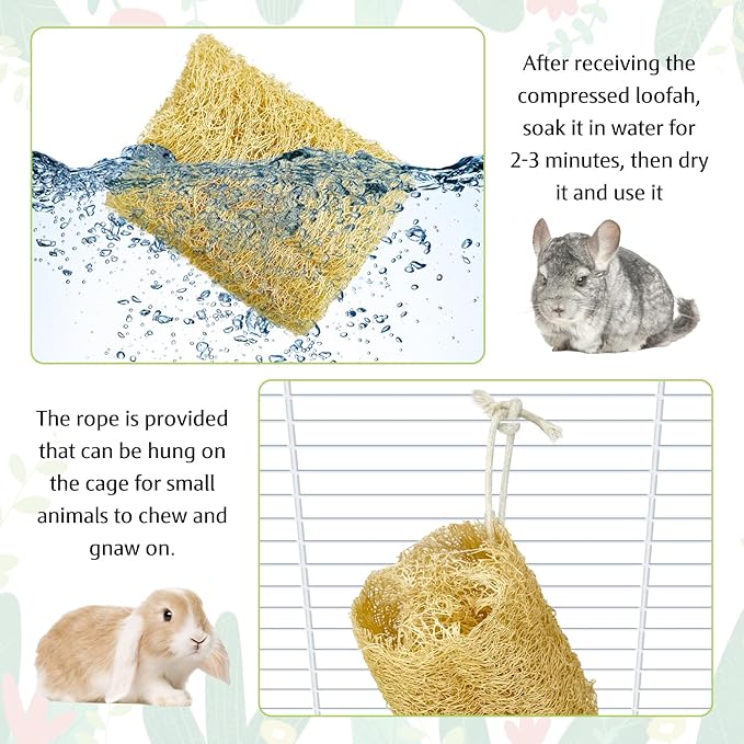 BNOSDM Bunny Chew Toys Natural Loofah 4PCS Bunny Teeth Grinding Toy Rabbit Fiber-Rich Treats Pet Entertainment Accessories for Rabbits Chinchillas Guinea Pig(XL)