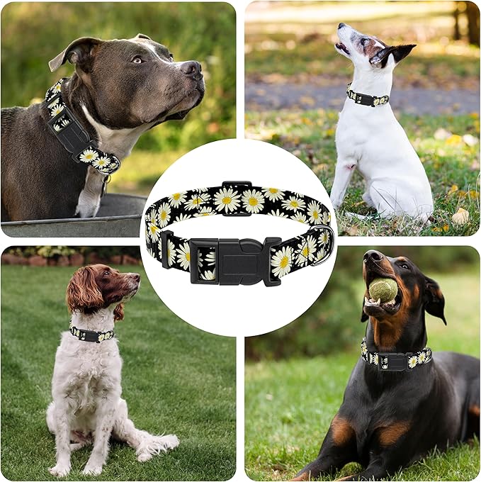 Dog Collar, Daisy Boys Girls Puppy Collar for Small Medium Large Dogs, Adjustable Soft Floral Pet Collar with Safety Buckle for Male Females(Black Daisy,S)
