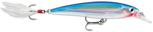 Rapala X-Rap Jerkbait XR10 Fishing Lure - color: Silver Blue