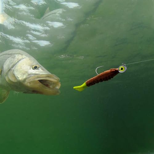 Dr.Fish 10 Pack Fishing Eyes Jigs 3D Eyes Trout Heads Bass Hook Saltwater Swimbait Jig Heads Freshwater Walleye Redfish Striper 1/2oz 3/8oz 1/4oz 3/16oz - color: Chartreuse Eyes, size: 1/2oz-Hook #5/0