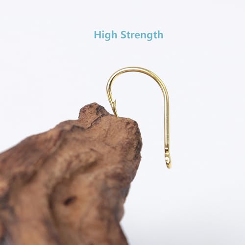 Dyxssm Small Fishing Hooks for Freshwater, 1000pcs 600pcs 400pcs Trout Fish Hook Set, 10 Sizes #2-#20 - color: Gold, style: 400pcs (#2-#20)