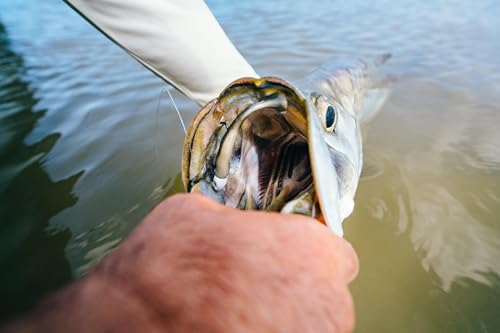 Berkley GSPS Fishing Bait - color: Pearl White/Pink, size: 4"