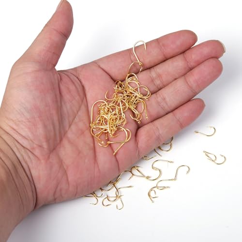 Dyxssm Small Fishing Hooks for Freshwater, 1000pcs 600pcs 400pcs Trout Fish Hook Set, 10 Sizes #2-#20 - color: Gold, style: 600pcs (#2-#20)