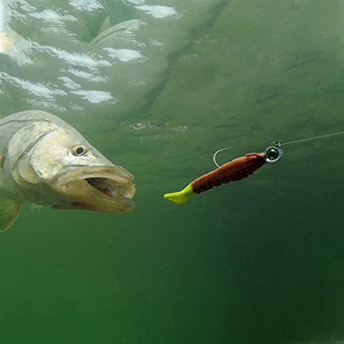 Dr.Fish 10 Pack Fishing Eyes Jigs 3D Eyes Trout Heads Bass Hook Saltwater Swimbait Jig Heads Freshwater Walleye Redfish Striper 1/2oz 3/8oz 1/4oz 3/16oz - color: White Eyes, size: 1/8oz-Hook #1