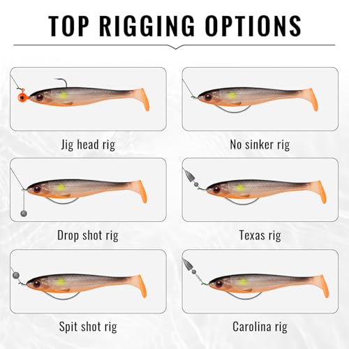 TRUSCEND Shadtale Easy Catch Soft Fishing Lures, Unique Vibration and Action for Various Rigs, Paddle Tail Swimbaits Trailer for Bass, Trout, Crappie, Walleye, Redfish, Saltwater & Freshwater Fishing - color: 4",12pcs,0.3oz