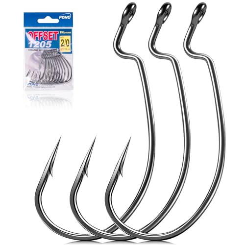 Ewg Hooks for Bass Fishing Hooks,Alloy High Carbon Steel Worm Hooks,Extra Wide Gap Offset Fish Hooks Texas Rig Fish Hooks for Bass Trout Freshwater Saltwater #6#4#2 1/0 2/0 4/0 5/0 - size: #2_10pcs