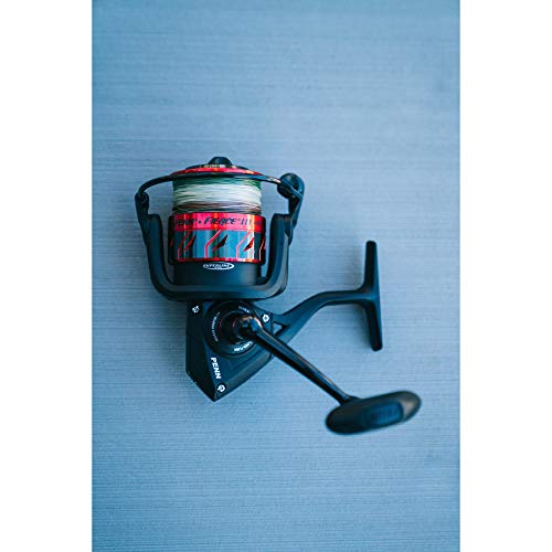 Penn Fierce III Spinning Inshore Fishing Reel, Size 2000, Right/Left Handle Position, 5 Bearings for Smooth Operation - size: 1000 - Box, style: Fierce III