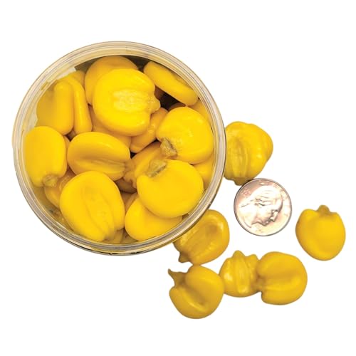 WCB Carp Baits - Flavored Jumbo Corn Bait - Ideal for Carp Fishing - style: Flavor: Tiger Nut
