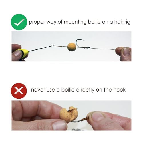 WCB Carp Baits High Protein Boilies 20 mm 1 lb Bag - Carp Bait - Ideal for Carp Fishing - style: Flavor: Sweet Corn