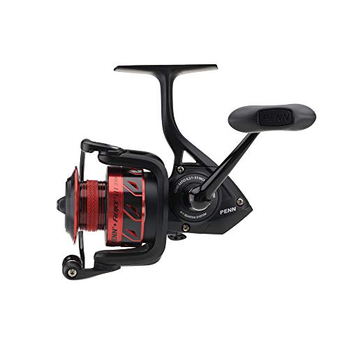 Penn Fierce III Spinning Inshore Fishing Reel, Size 2000, Right/Left Handle Position, 5 Bearings for Smooth Operation - size: 2500 - Box, style: Fierce III