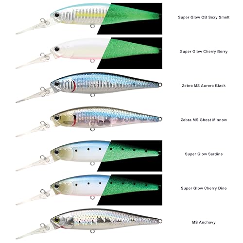 LUCKY CRAFT Pointer 100DD-S, Saltwater Surf Fishing Lures, Jerkbait, Halibut, Surf Perch, Calico Bass, White Seabass, Striped Bass, Sinking, Fishing Gear - color: 653 Super Glow OB Sexy Smelt