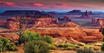 48X20IN Desert Loess Rock Cactus Oasis Reptile Habitat Background, Natural Sunset Desert Themed Terrarium Background, Aquarium Background with 10 EVA Double-Sided Tape