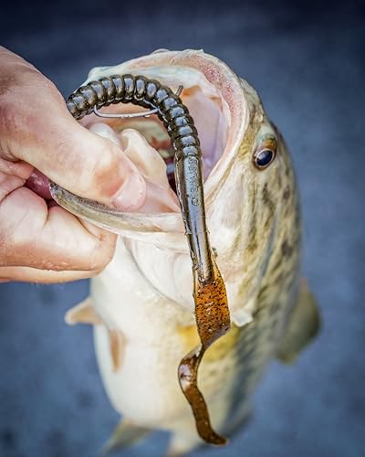 Berkley PowerBait Power Worms Fishing Soft Bait - color: Black Grape, size: 10" (8 Count)