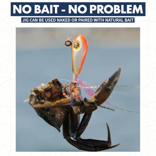 Hogy Groundfish Biki Jig, Jig Head for Fishing | VMC Barbarian Hook | Saltwater & Freshwater Fishing Lures for Tog, Fluke, Sea Bass, Cod | Swim & Slow Jig Fishing Bait for Shallow Waters - size: 2 oz