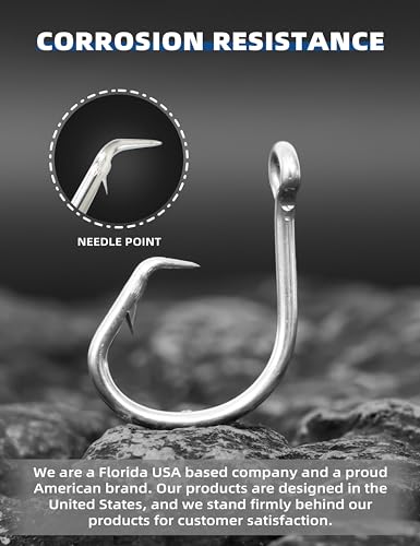 BLUEWING Big Game Circle Hooks Heavy Duty Stainless Steel for Saltwater & Freshwater Fishing - style: Size 06: 10/0, 20pcs