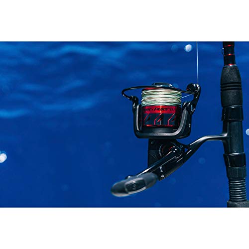 Penn Fierce III Spinning Inshore Fishing Reel, Size 2000, Right/Left Handle Position, 5 Bearings for Smooth Operation - size: 2500 - Box, style: Fierce III