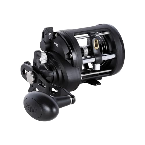 PENN Rival Level Wind Conventional Fishing Reel - size: 20 - Line Counter - Left Hand, style: New Model