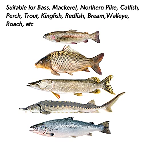 Dr.Fish Fishing Jigs Jigging Spoon Saltwater Fishing Lure Casting Metal Spoon Surf Fishing Mackerel Striper Lures Stinger Bluefish Vertical Diamond Jig - color: Mixed Colors, size: 1/2oz-3 Pieces